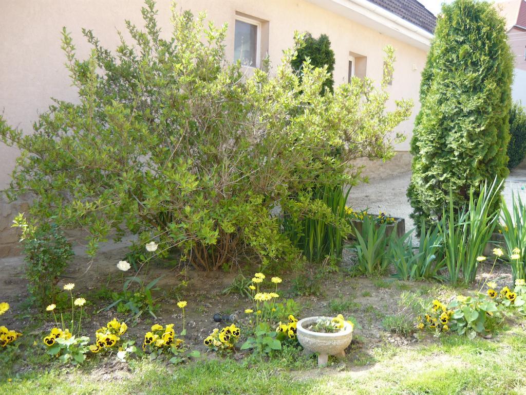 Apartman Kámán *